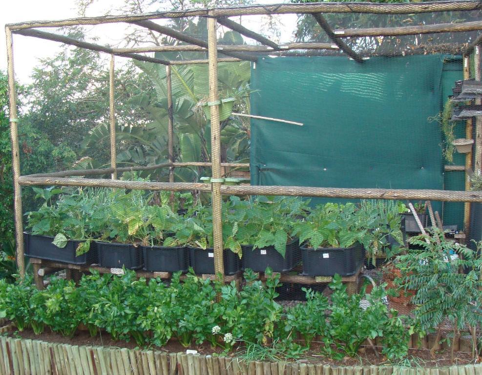 Roosfontein Bed And Breakfast Durban Exterior photo